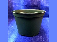 6" Round Green Pot